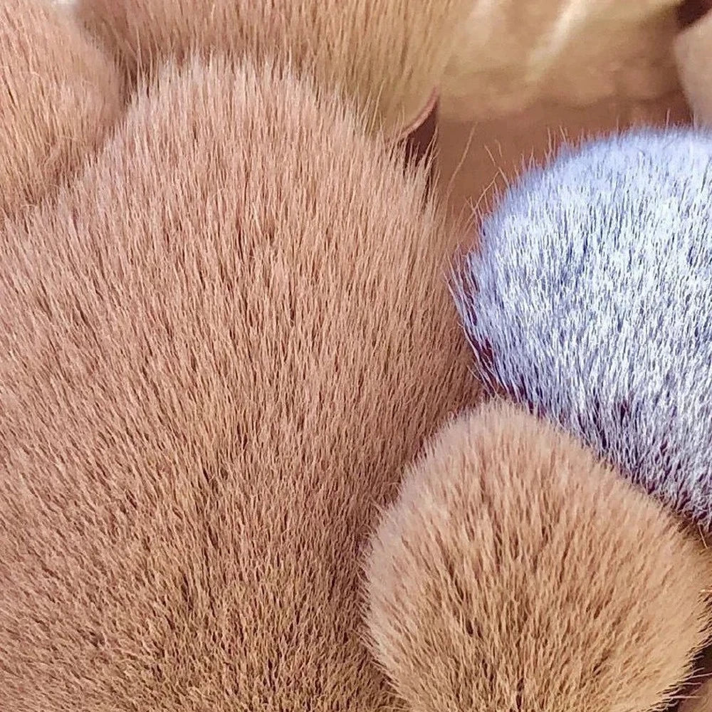 13 PCS Soft bristle makeup brushes